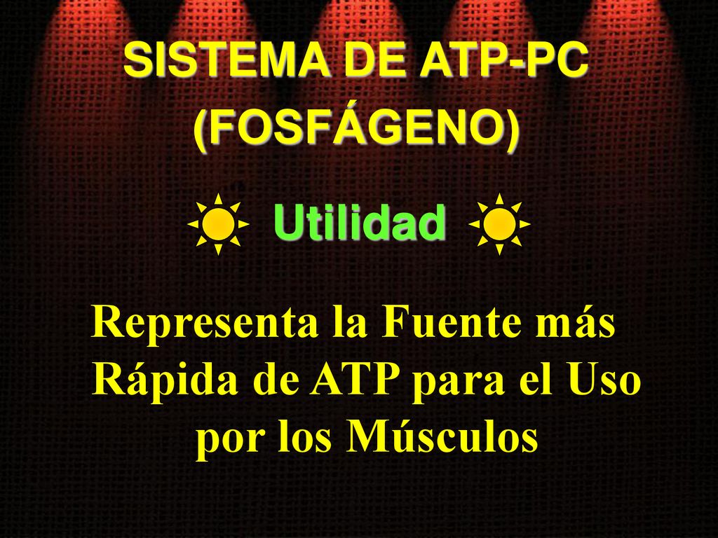 Representa la Fuente más Rápida de ATP para el Uso por los Músculos