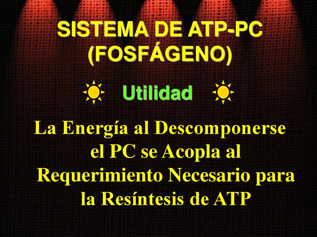 SISTEMA DE ATP-PC (FOSFÁGENO)
