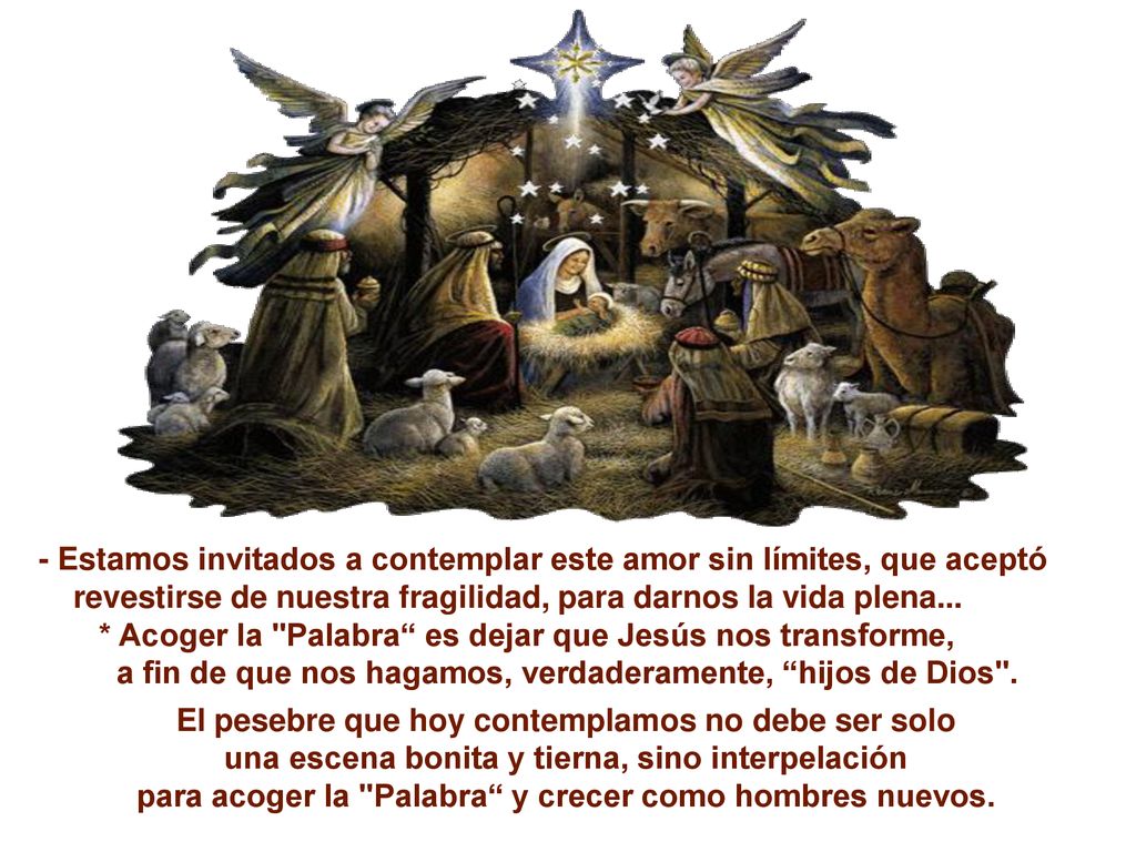 - Estamos invitados a contemplar este amor sin límites, que aceptó