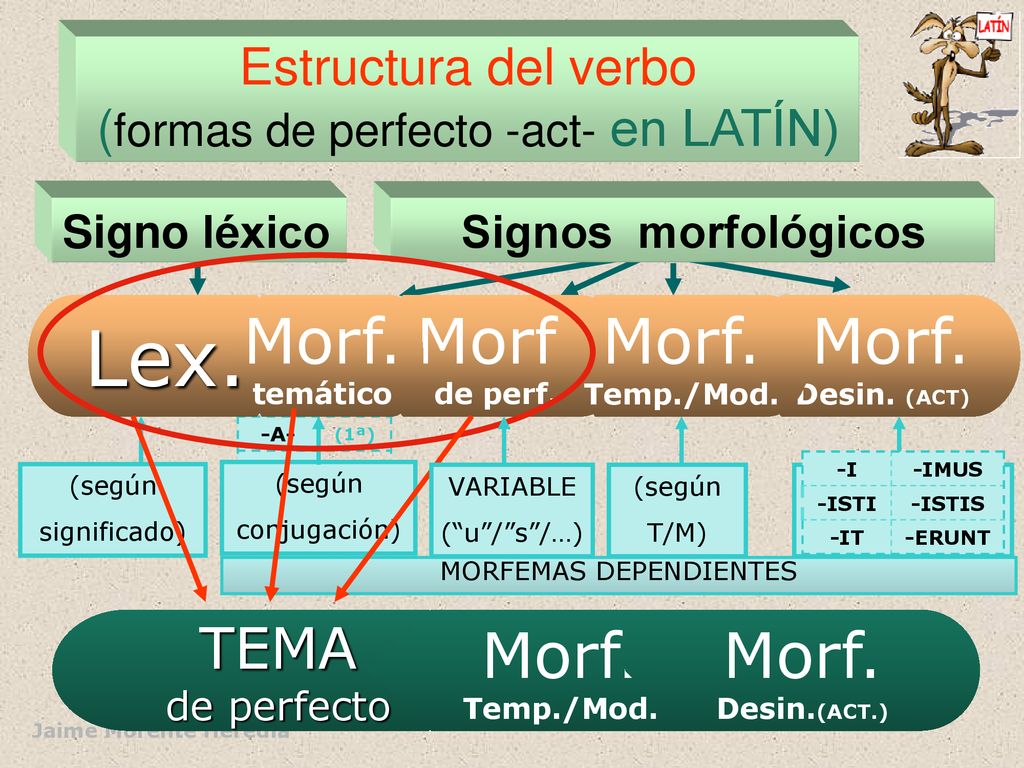 Lex. Morf. Morf. Morf. Morf. Morf. Morf. TEMA
