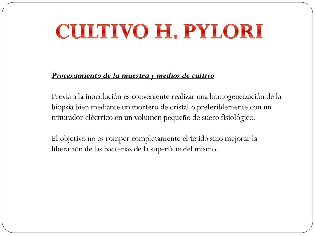 CULTIVO H. PYLORI Procesamiento de la muestra y medios de cultivo