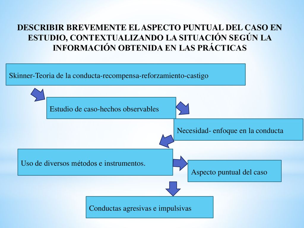DESCRIBIR BREVEMENTE EL ASPECTO PUNTUAL DEL CASO EN ESTUDIO, CONTEXTUALIZANDO LA SITUACIÓN SEGÚN LA INFORMACIÓN OBTENIDA EN LAS PRÁCTICAS