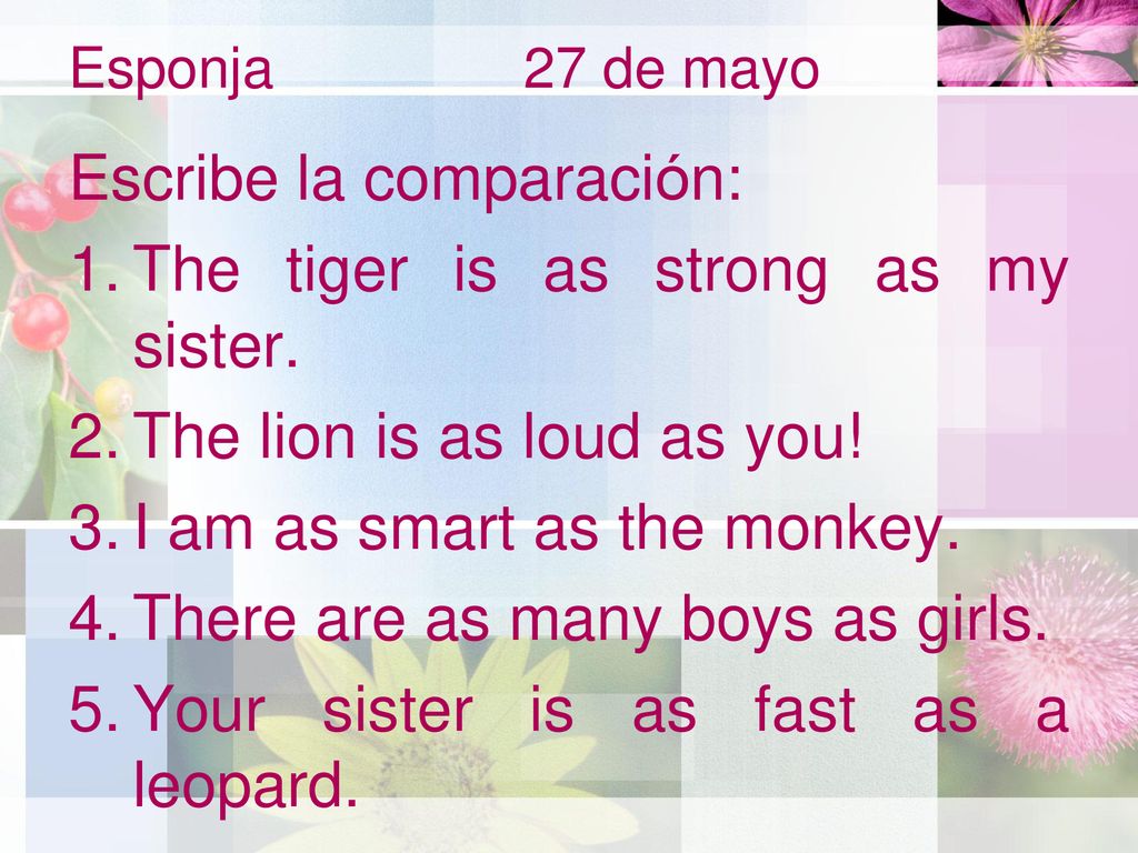 Escribe la comparación: The tiger is as strong as my sister.