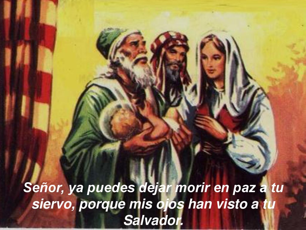 Señor, ya puedes dejar morir en paz a tu siervo, porque mis ojos han visto a tu Salvador.