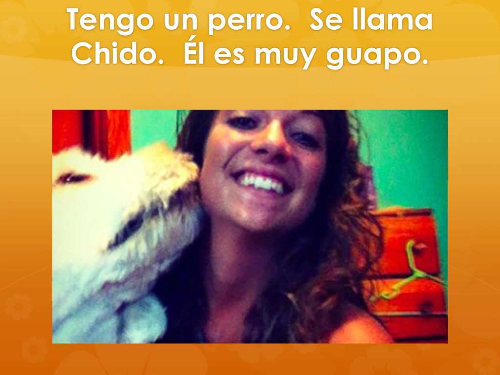 Tengo un perro. Se llama Chido. Él es muy guapo.