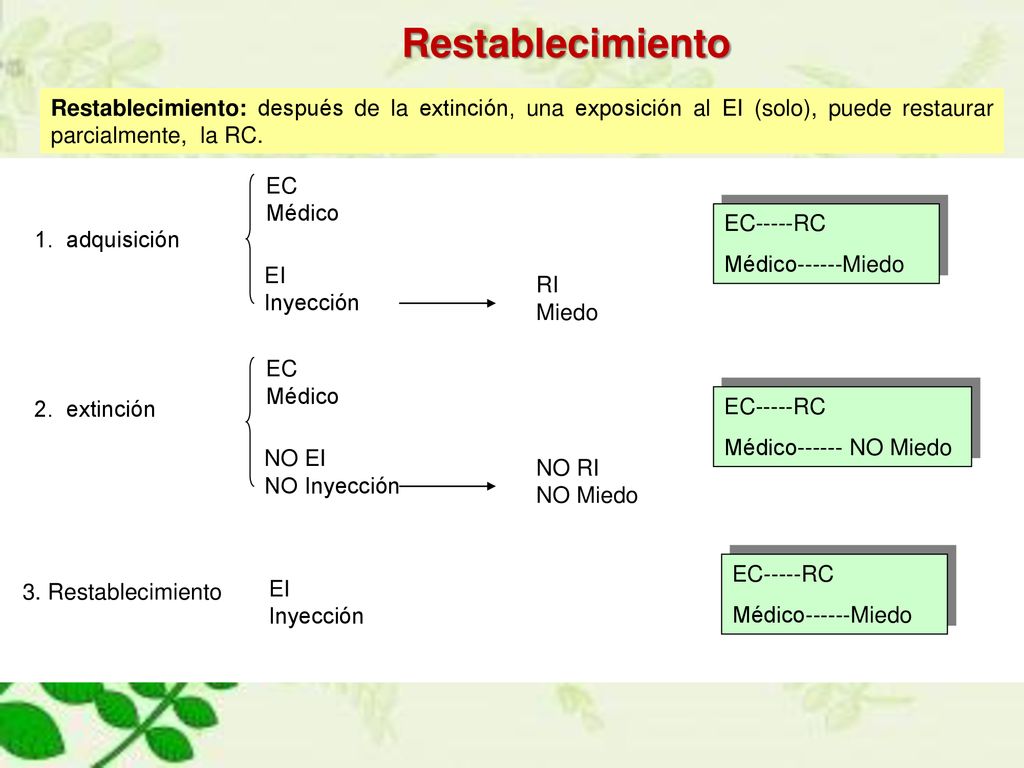 Restablecimiento Restablecimiento: después de la extinción, una exposición al EI (solo), puede restaurar parcialmente, la RC.