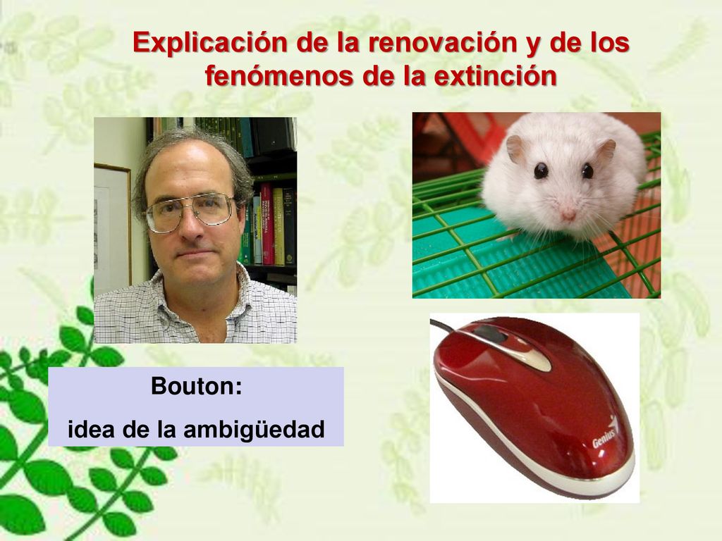 Explicación de la renovación y de los fenómenos de la extinción