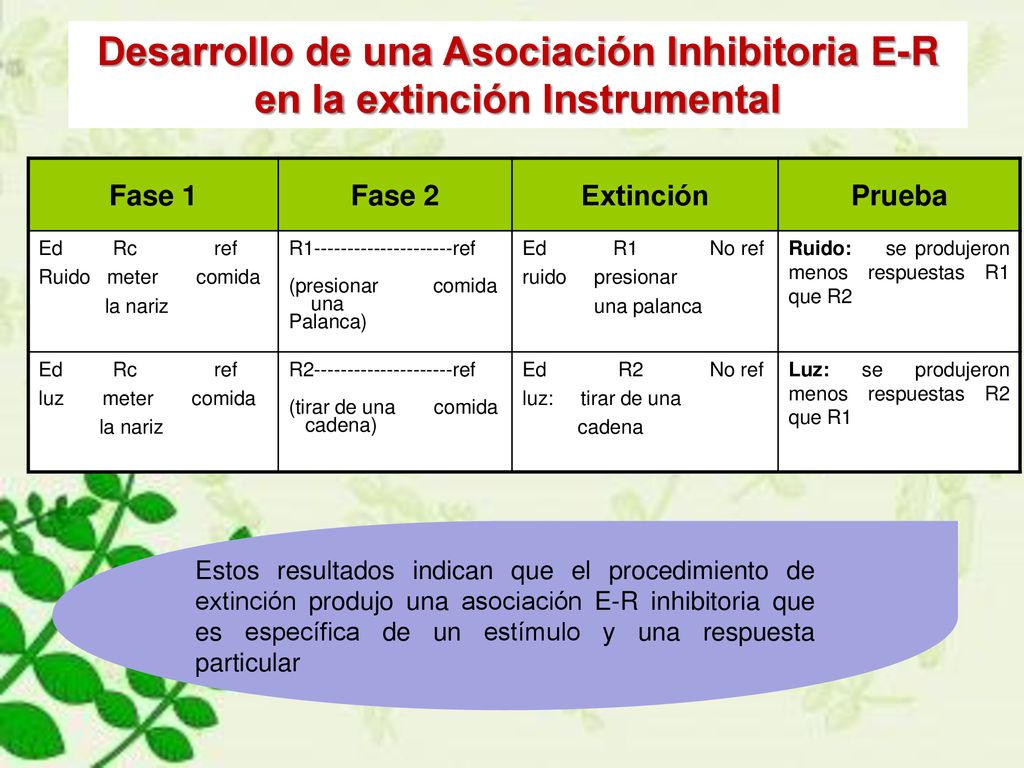 Desarrollo de una Asociación Inhibitoria E-R en la extinción Instrumental