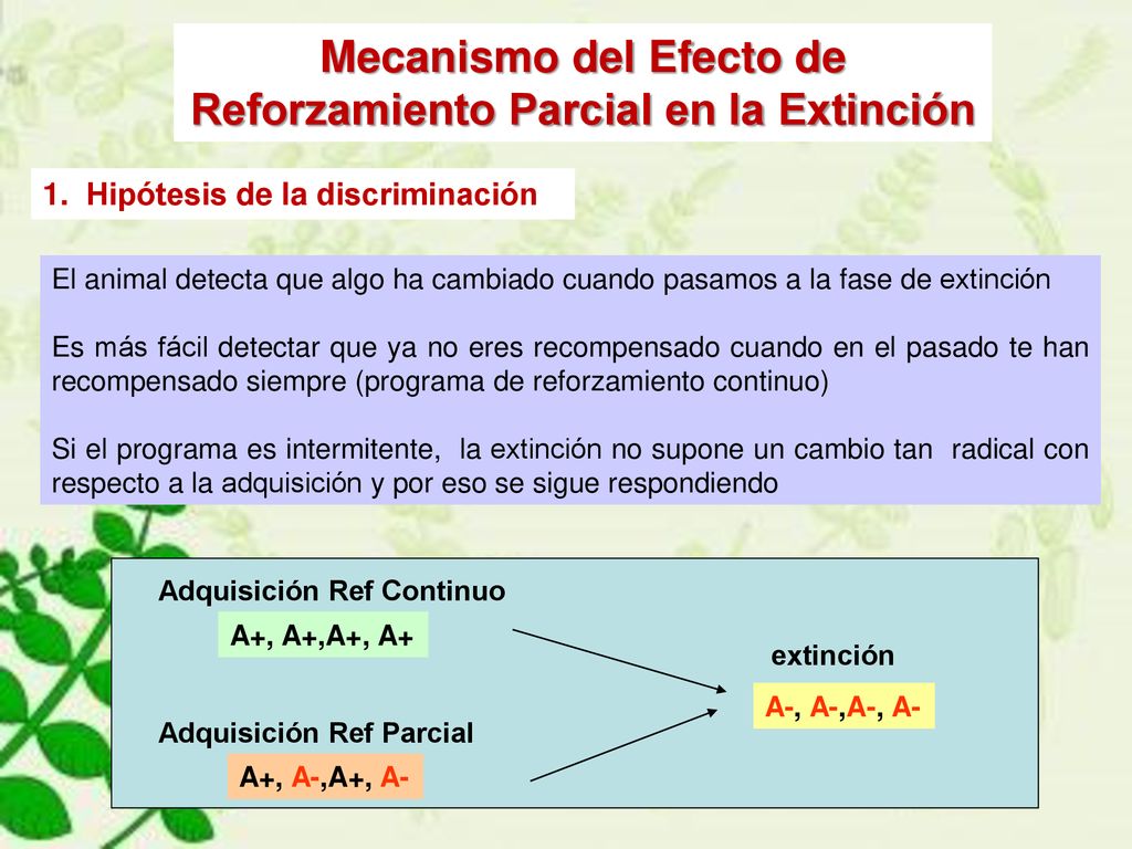 Mecanismo del Efecto de Reforzamiento Parcial en la Extinción