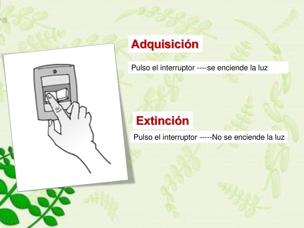 Adquisición Extinción Pulso el interruptor ----se enciende la luz