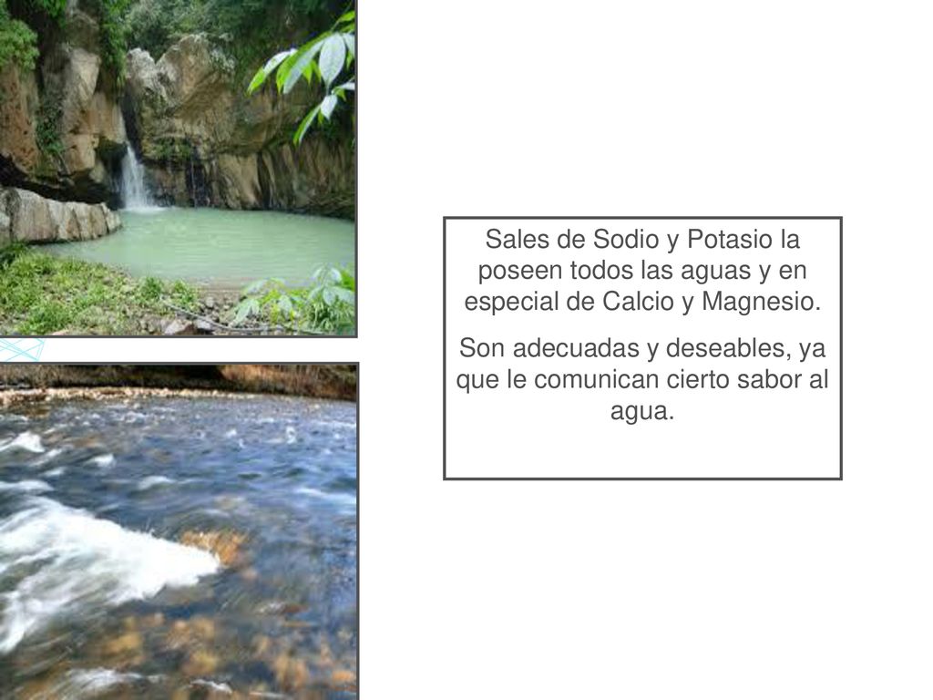 Son adecuadas y deseables, ya que le comunican cierto sabor al agua.
