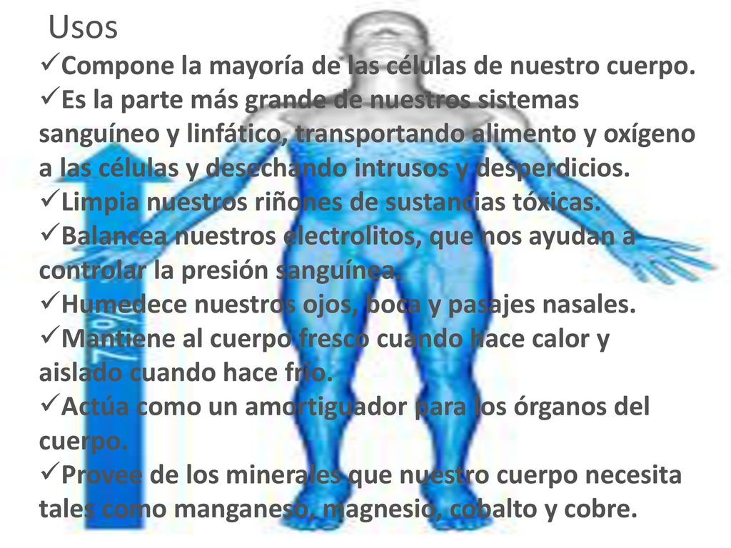 Usos Compone la mayoría de las células de nuestro cuerpo.