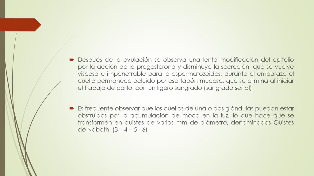 Después de la ovulación se observa una lenta modificación del epitelio por la acción de la progesterona y disminuye la secreción, que se vuelve viscosa e impenetrable para lo espermatozoides; durante el embarazo el cuello permanece ocluido por ese tapón mucoso, que se elimina al iniciar el trabajo de parto, con un ligero sangrado (sangrado señal)