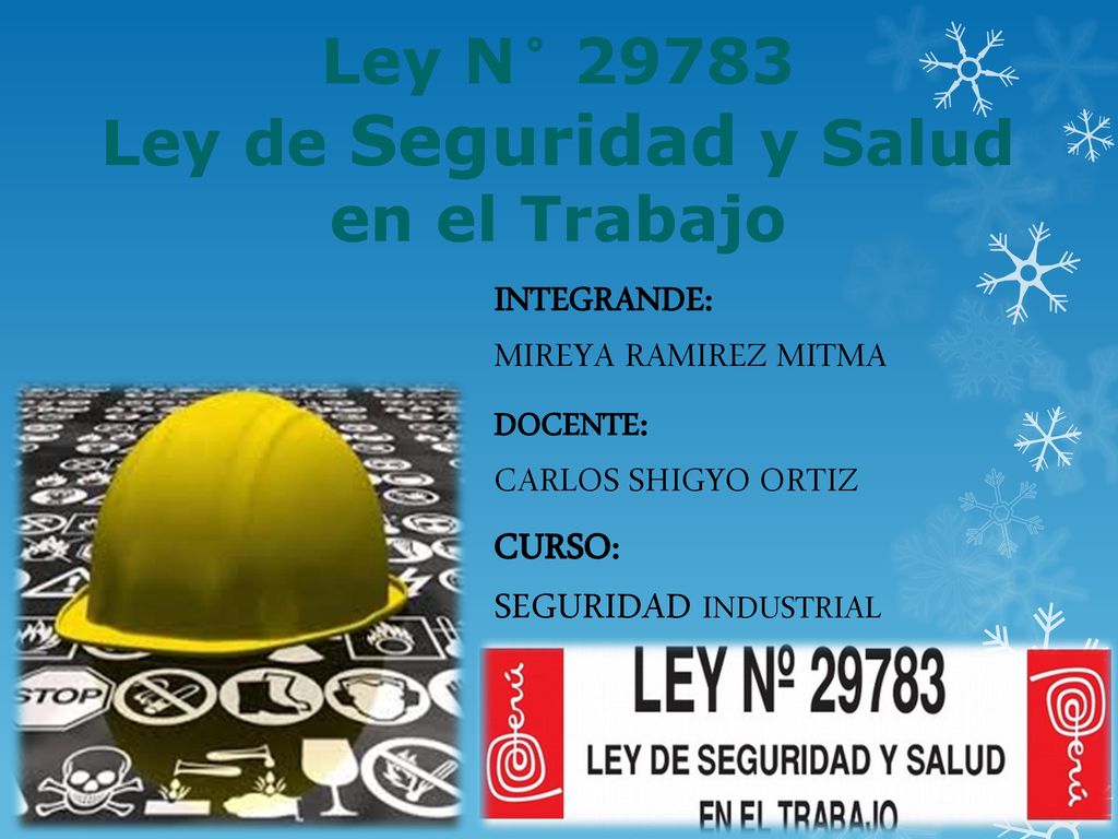 Ley N° Ley de Seguridad y Salud en el Trabajo