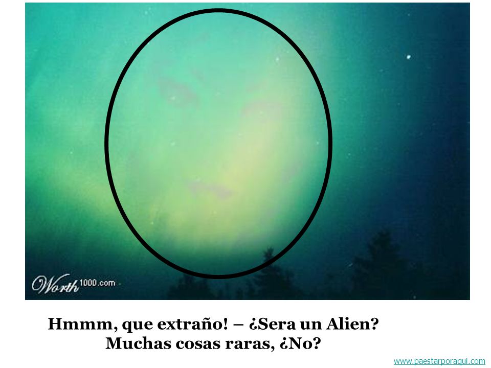 Hmmm, que extraño! – ¿Sera un Alien Muchas cosas raras, ¿No