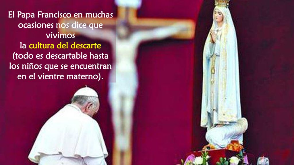 El Papa Francisco en muchas ocasiones nos dice que vivimos