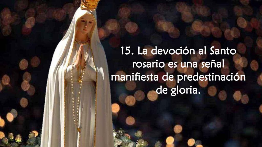 15. La devoción al Santo rosario es una señal manifiesta de predestinación de gloria.