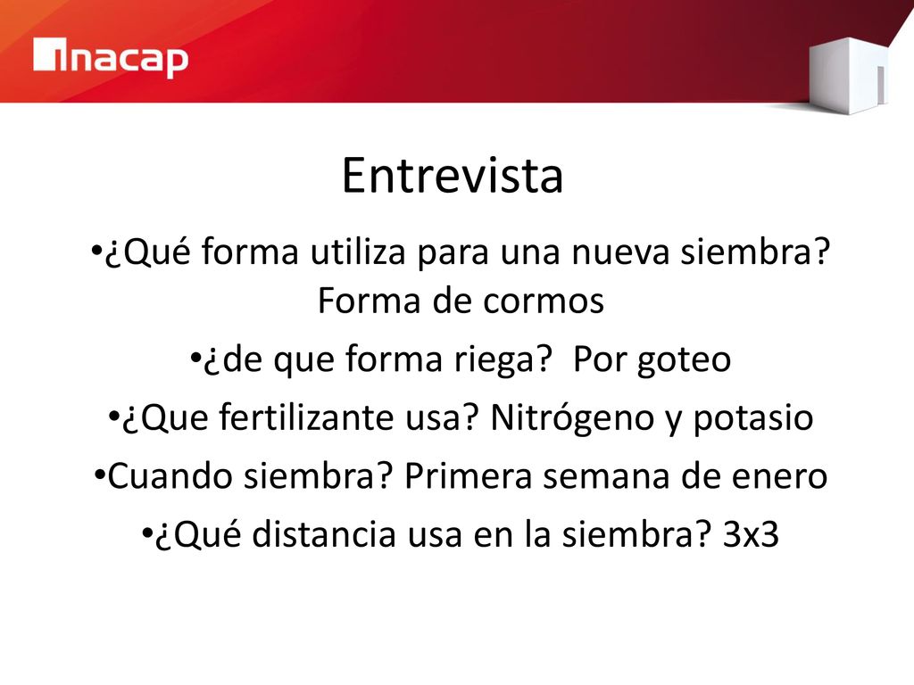 Entrevista ¿Qué forma utiliza para una nueva siembra Forma de cormos