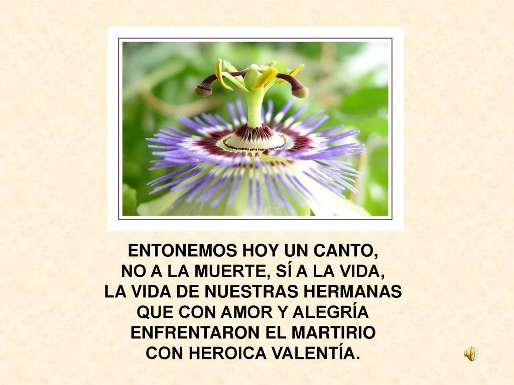 NO A LA MUERTE, SÍ A LA VIDA, LA VIDA DE NUESTRAS HERMANAS