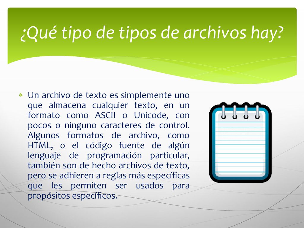 ¿Qué tipo de tipos de archivos hay