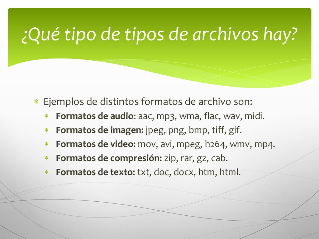 ¿Qué tipo de tipos de archivos hay