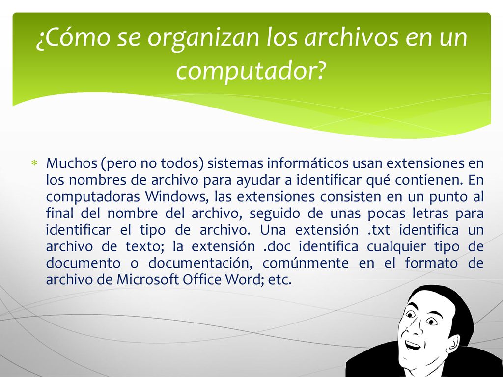 ¿Cómo se organizan los archivos en un computador