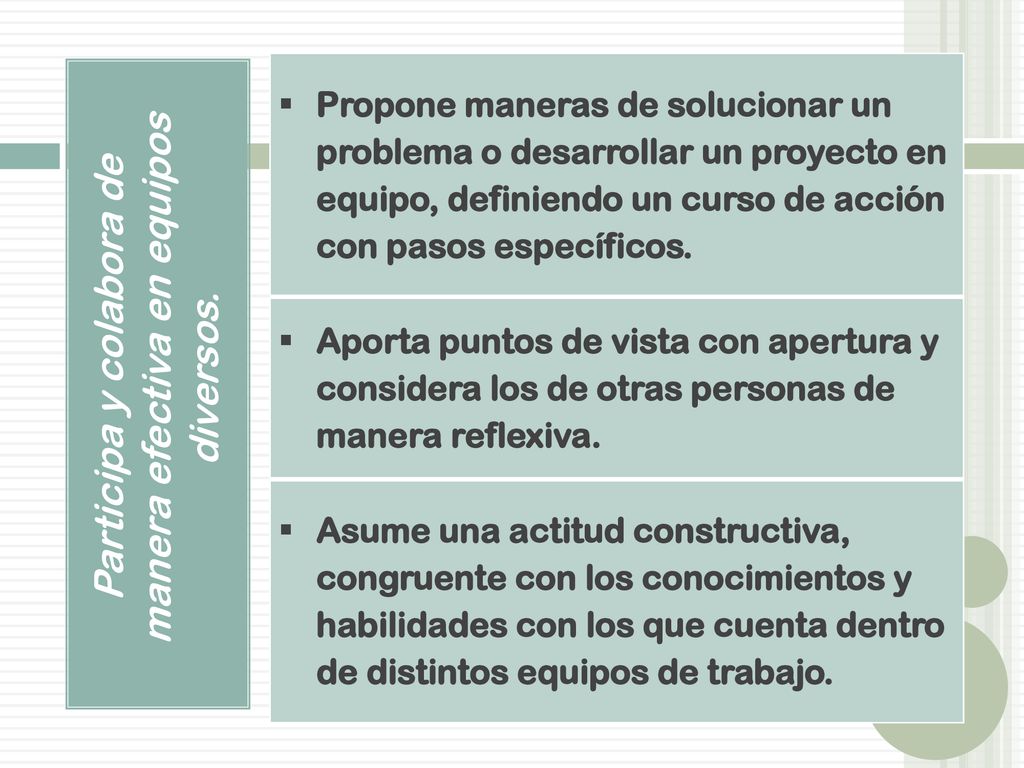 Participa y colabora de manera efectiva en equipos diversos.