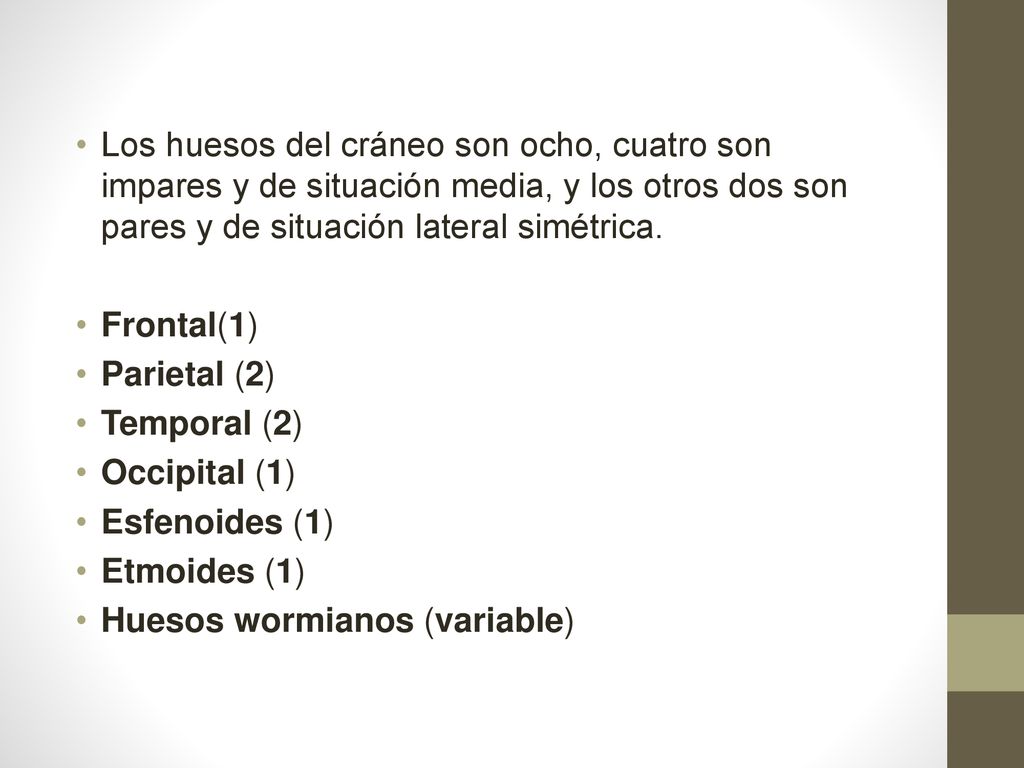 Los huesos del cráneo son ocho, cuatro son impares y de situación media, y los otros dos son pares y de situación lateral simétrica.