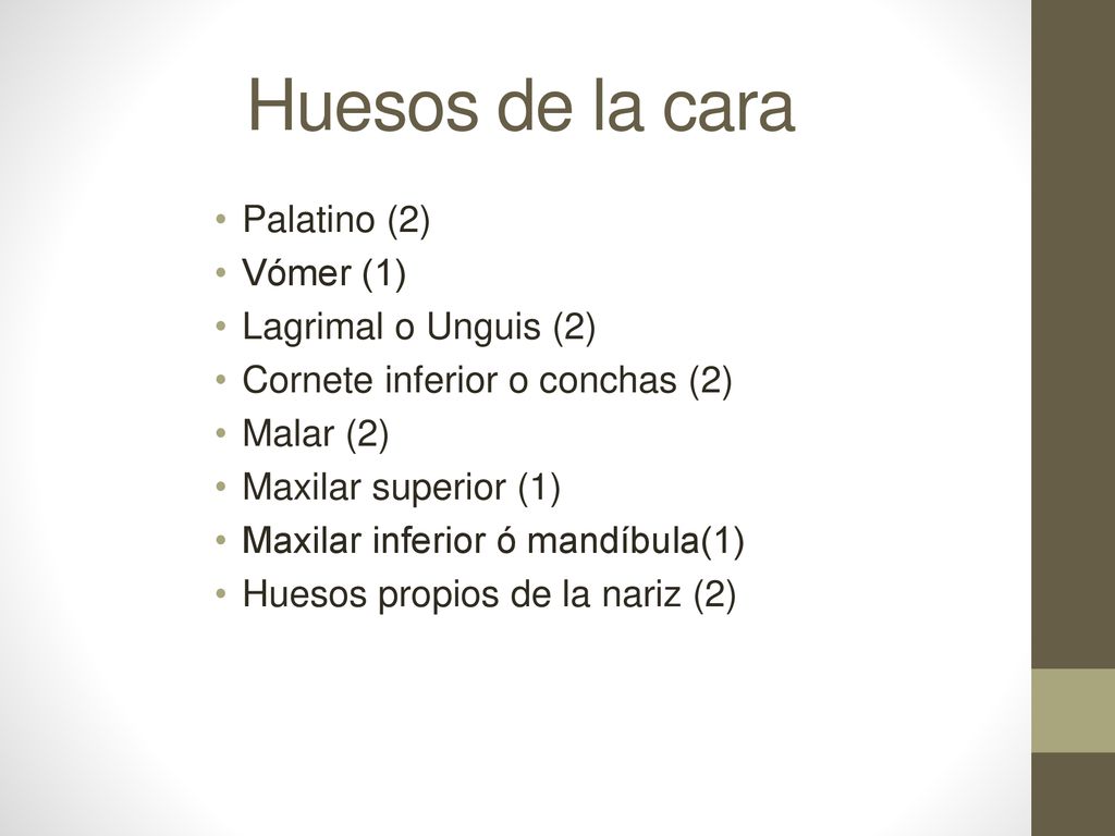 Huesos de la cara Palatino (2) Vómer (1) Lagrimal o Unguis (2)