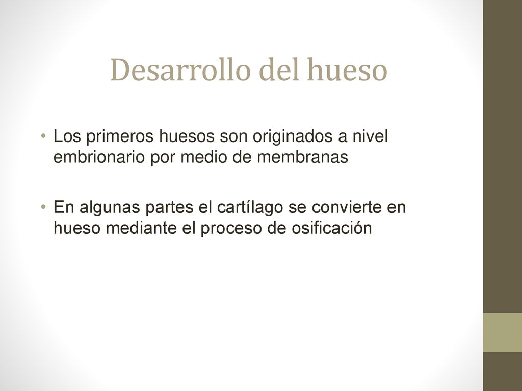 Desarrollo del hueso Los primeros huesos son originados a nivel embrionario por medio de membranas.