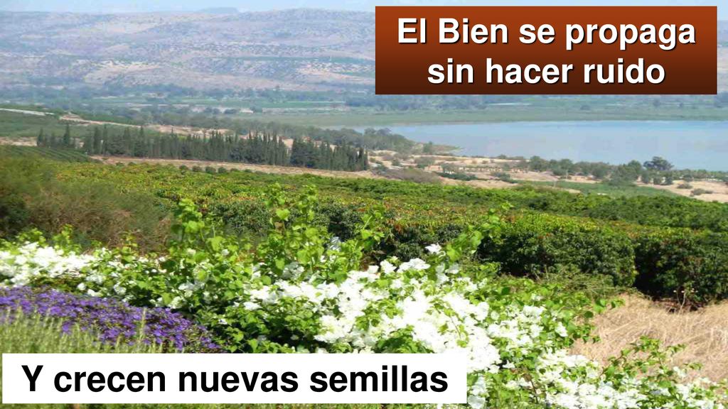 El Bien se propaga sin hacer ruido Y crecen nuevas semillas