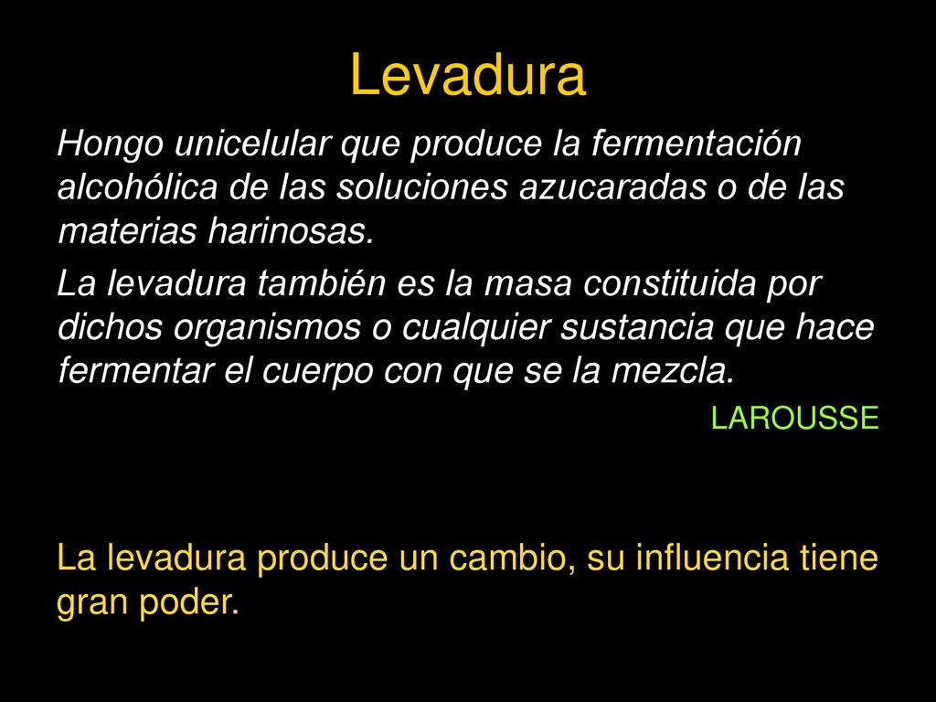 Levadura Hongo unicelular que produce la fermentación alcohólica de las soluciones azucaradas o de las materias harinosas.