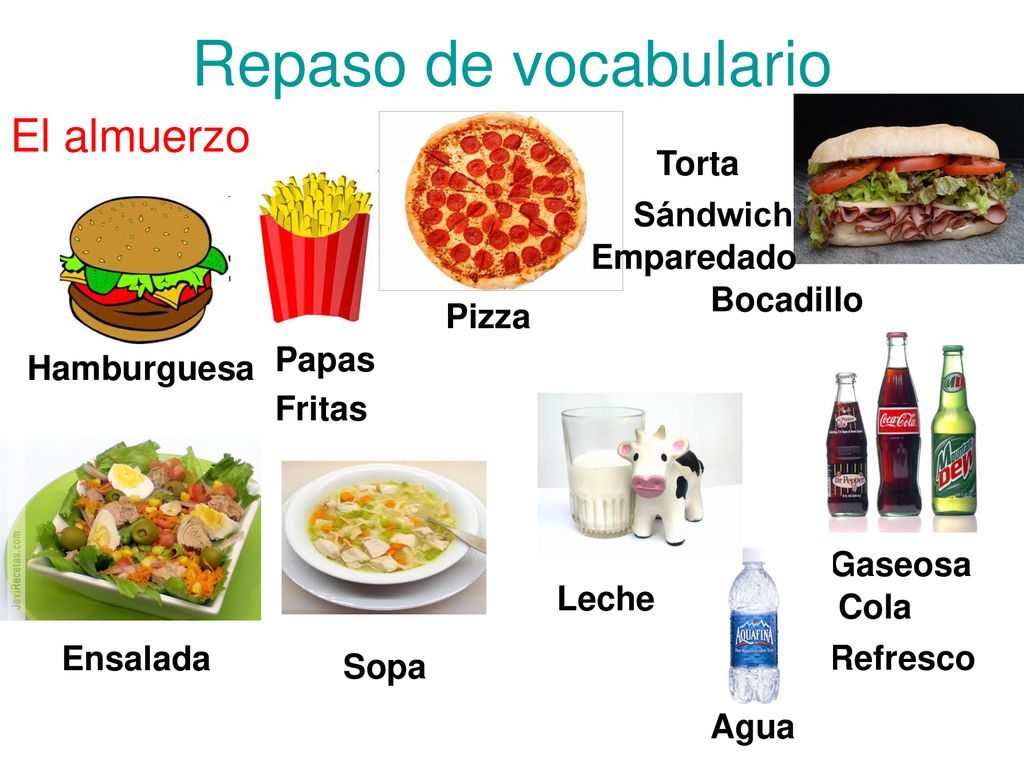 Repaso de vocabulario El almuerzo Torta Sándwich Emparedado Bocadillo