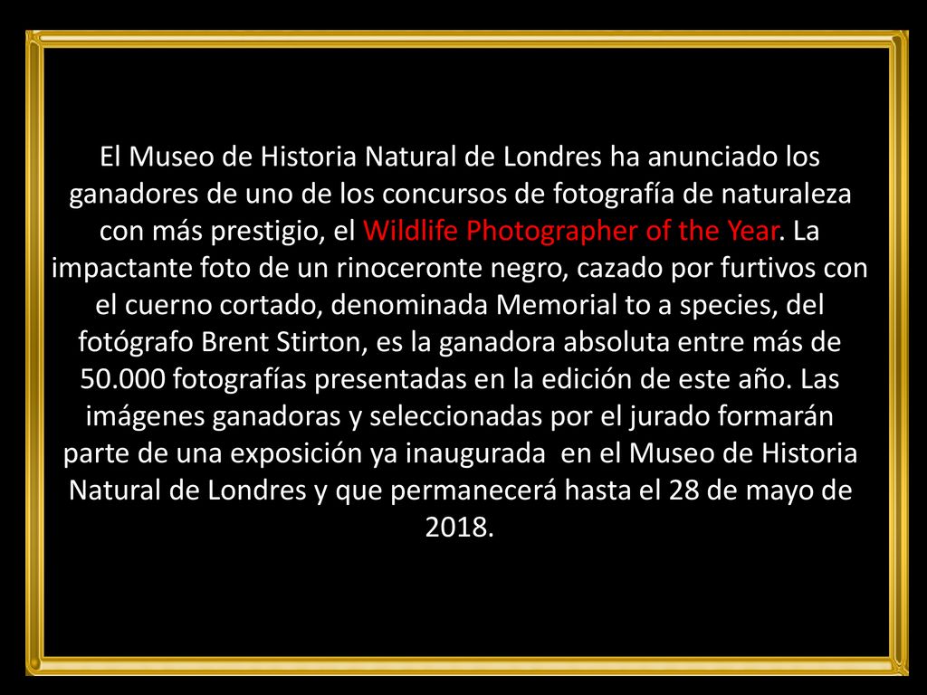 El Museo de Historia Natural de Londres ha anunciado los ganadores de uno de los concursos de fotografía de naturaleza con más prestigio, el Wildlife Photographer of the Year.