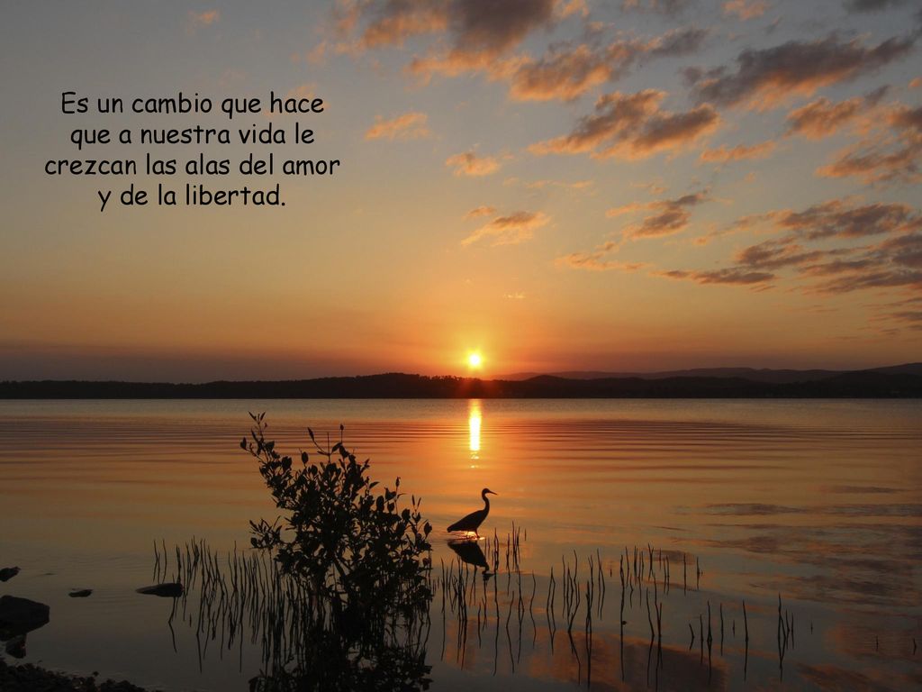 Es un cambio que hace que a nuestra vida le crezcan las alas del amor y de la libertad.