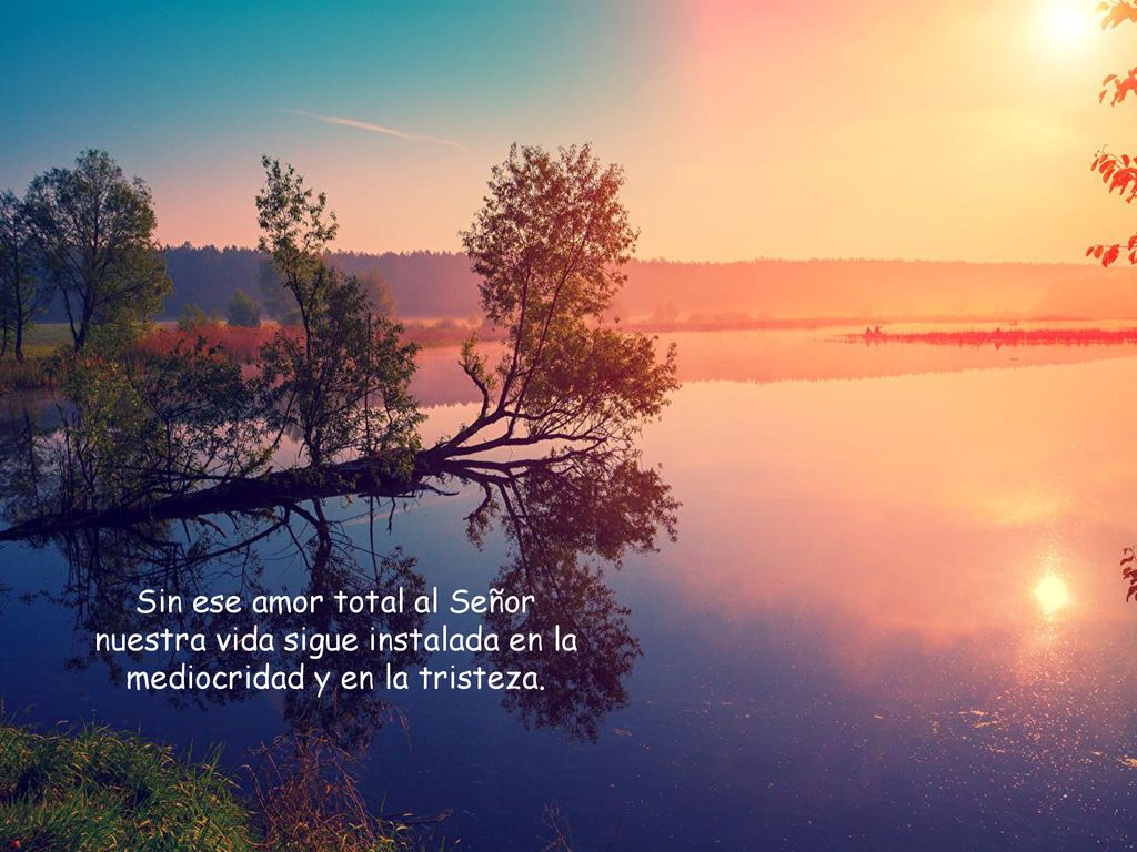 Sin ese amor total al Señor nuestra vida sigue instalada en la mediocridad y en la tristeza.