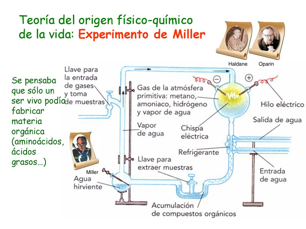 Teoría del origen físico-químico de la vida: Experimento de Miller