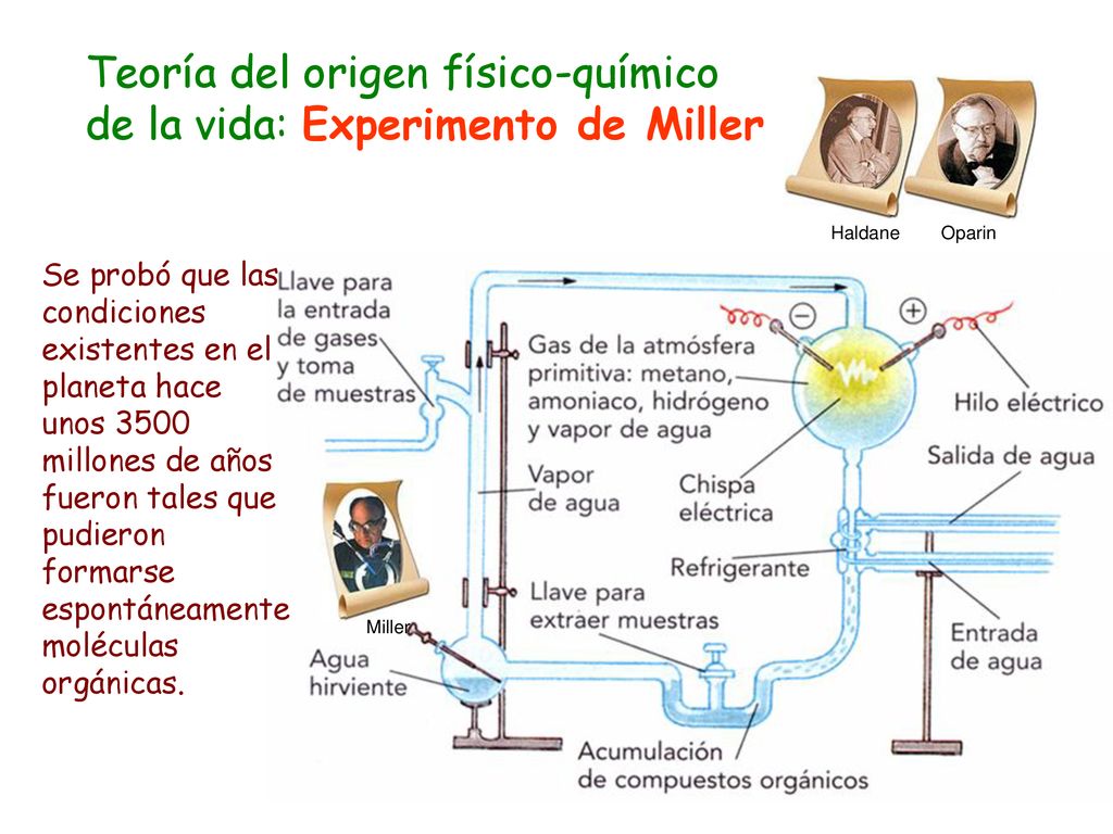 Teoría del origen físico-químico de la vida: Experimento de Miller