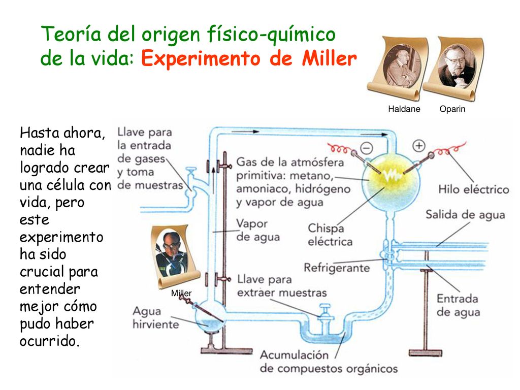 Teoría del origen físico-químico de la vida: Experimento de Miller