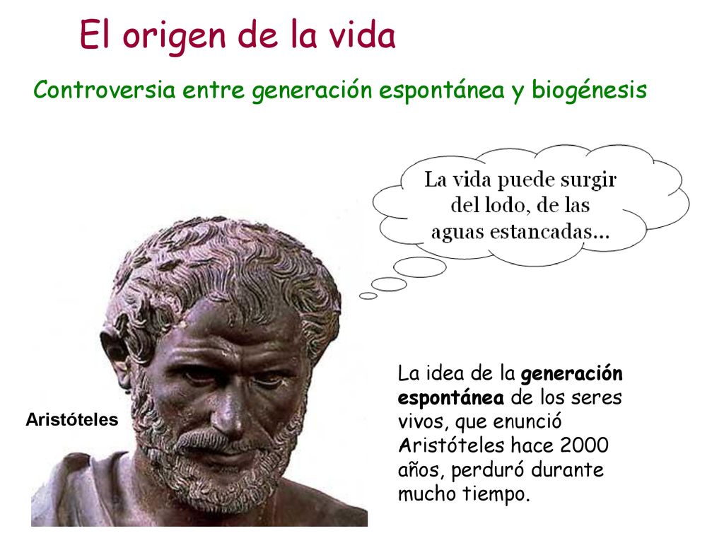 El origen de la vida Controversia entre generación espontánea y biogénesis.