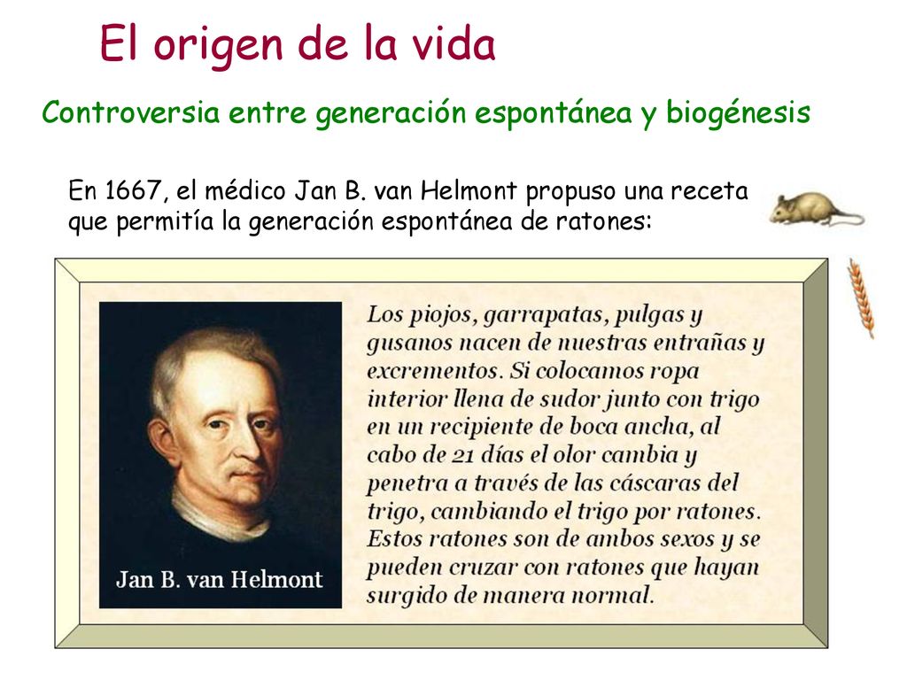 El origen de la vida Controversia entre generación espontánea y biogénesis.
