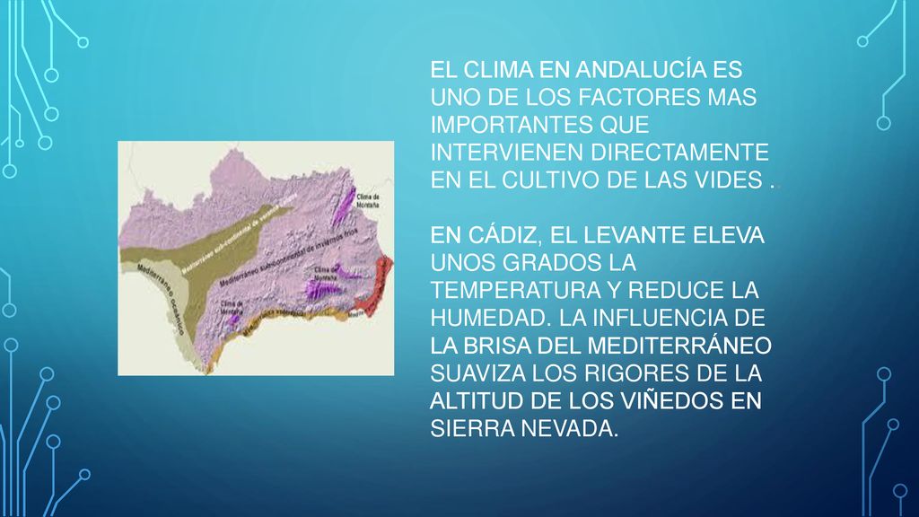 EL CLIMA EN ANDALUCÍA ES UNO DE LOS FACTORES MAS IMPORTANTES QUE INTERVIENEN DIRECTAMENTE EN EL CULTIVO DE LAS VIDES ..