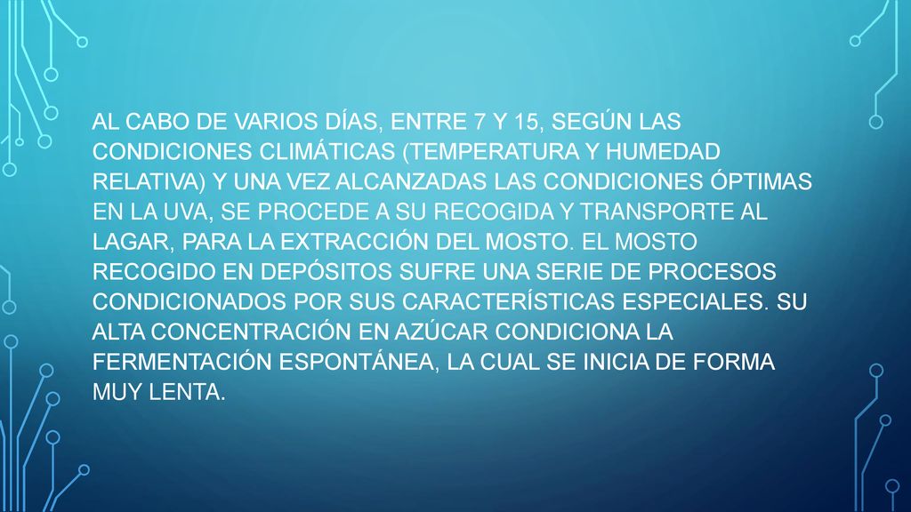 AL CABO DE VARIOS DÍAS, ENTRE 7 Y 15, SEGÚN LAS CONDICIONES CLIMÁTICAS (TEMPERATURA Y HUMEDAD RELATIVA) Y UNA VEZ ALCANZADAS LAS CONDICIONES ÓPTIMAS EN LA UVA, SE PROCEDE A SU RECOGIDA Y TRANSPORTE AL LAGAR, PARA LA EXTRACCIÓN DEL MOSTO. EL MOSTO RECOGIDO EN DEPÓSITOS SUFRE UNA SERIE DE PROCESOS CONDICIONADOS POR SUS CARACTERÍSTICAS ESPECIALES.