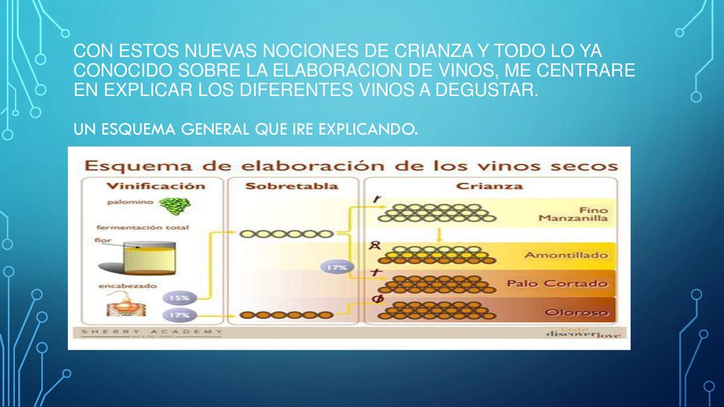 CON ESTOS NUEVAS NOCIONES DE CRIANZA Y TODO LO YA CONOCIDO SOBRE LA ELABORACION DE VINOS, ME CENTRARE EN EXPLICAR LOS DIFERENTES VINOS A DEGUSTAR.