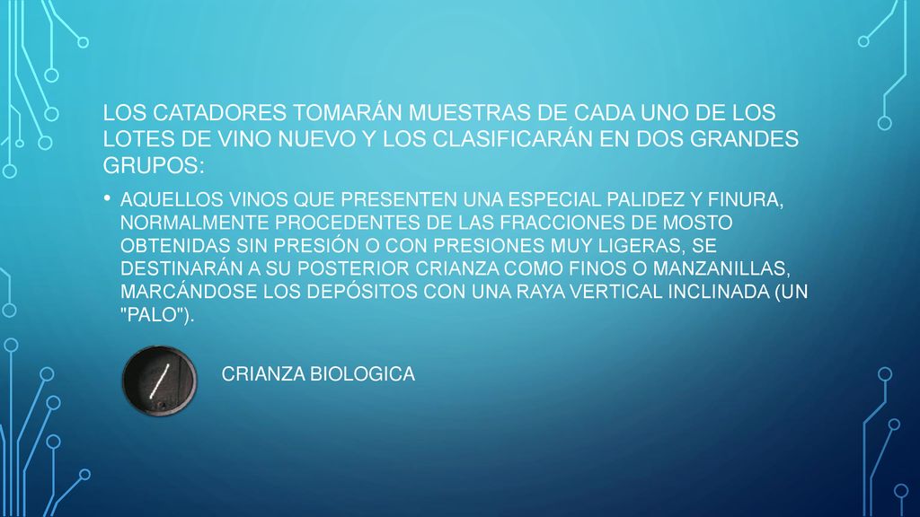 LOS CATADORES TOMARÁN MUESTRAS DE CADA UNO DE LOS LOTES DE VINO NUEVO Y LOS CLASIFICARÁN EN DOS GRANDES GRUPOS: