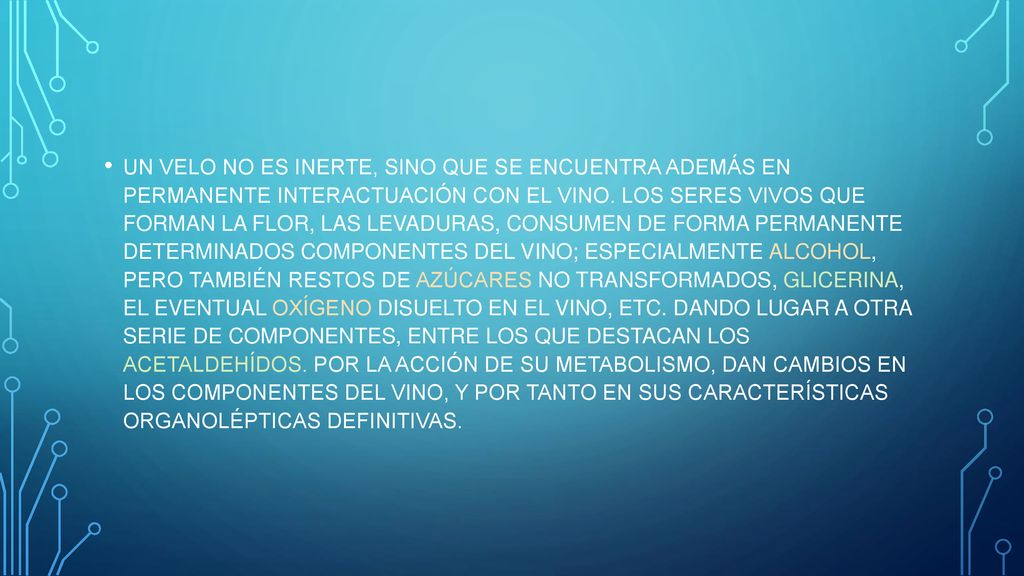 UN VELO NO ES INERTE, SINO QUE SE ENCUENTRA ADEMÁS EN PERMANENTE INTERACTUACIÓN CON EL VINO.