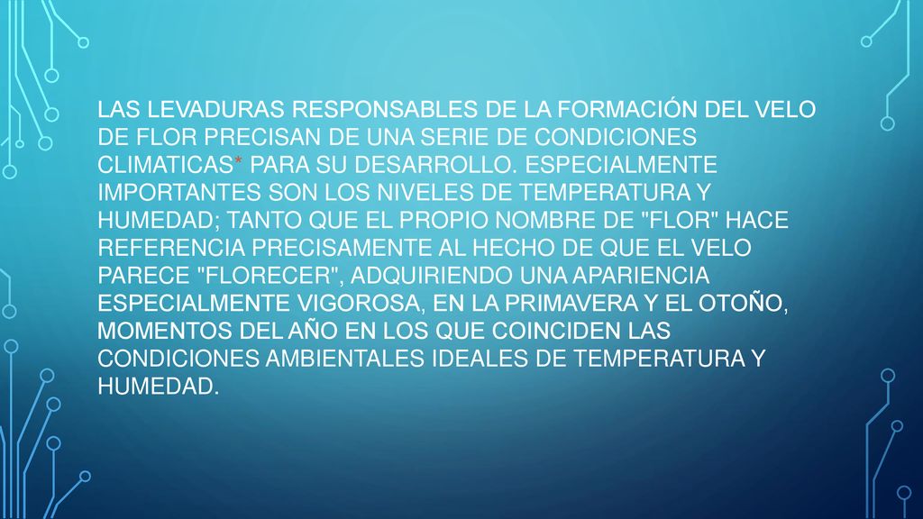 LAS LEVADURAS RESPONSABLES DE LA FORMACIÓN DEL VELO DE FLOR PRECISAN DE UNA SERIE DE CONDICIONES CLIMATICAS* PARA SU DESARROLLO.