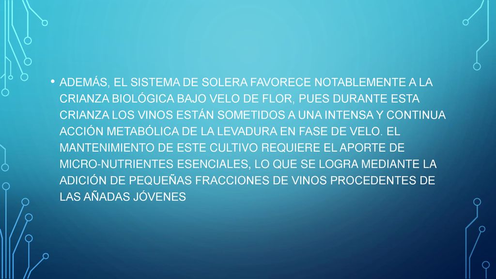 ADEMÁS, EL SISTEMA DE SOLERA FAVORECE NOTABLEMENTE A LA CRIANZA BIOLÓGICA BAJO VELO DE FLOR, PUES DURANTE ESTA CRIANZA LOS VINOS ESTÁN SOMETIDOS A UNA INTENSA Y CONTINUA ACCIÓN METABÓLICA DE LA LEVADURA EN FASE DE VELO.