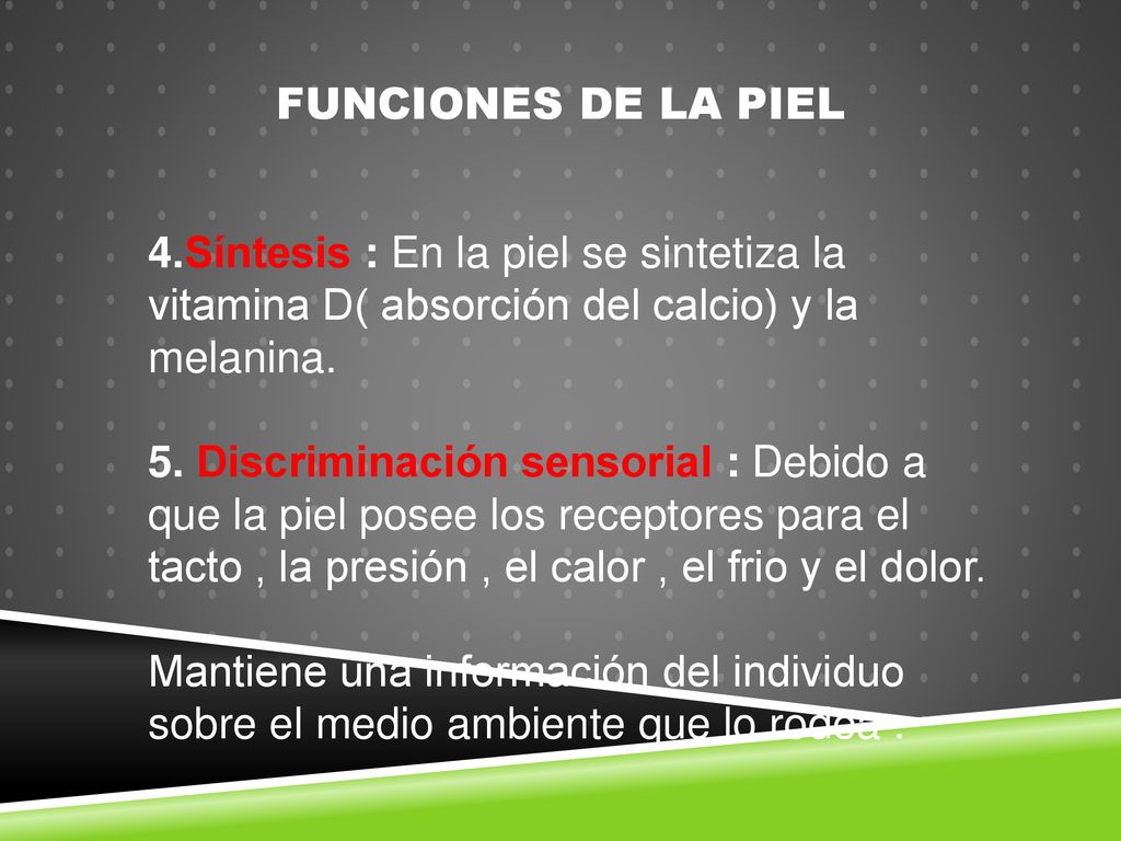 FUNCIONES DE LA PIEL 4.Síntesis : En la piel se sintetiza la vitamina D( absorción del calcio) y la melanina.