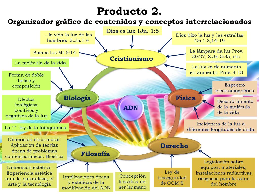 Producto 2. Organizador gráfico de contenidos y conceptos interrelacionados